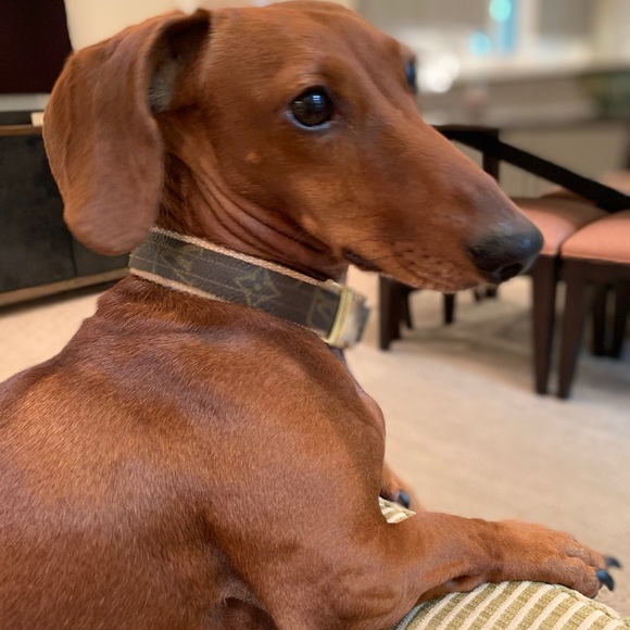 Meet your Posher, Jewel - Picture 1 of 1